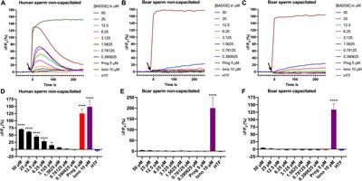 Bisphenol A Diglycidyl Ether (BADGE) and Progesterone Do Not Induce Ca2+ Signals in Boar Sperm Cells